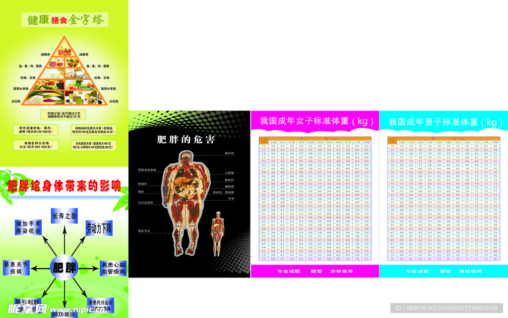 绿色健康减肥男女身高体重标准