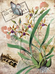 花卉装饰画