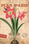 花卉装饰画