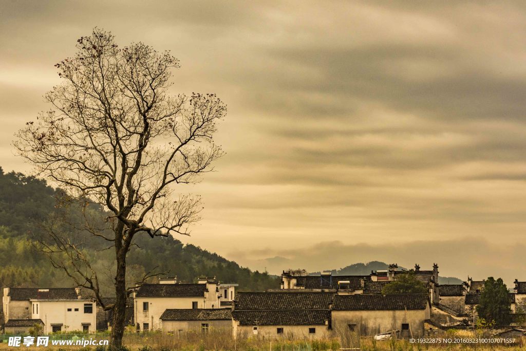 黄山 宏村 塔川