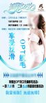 女神节