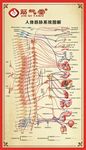 筋气堂人体自律神经系统图解