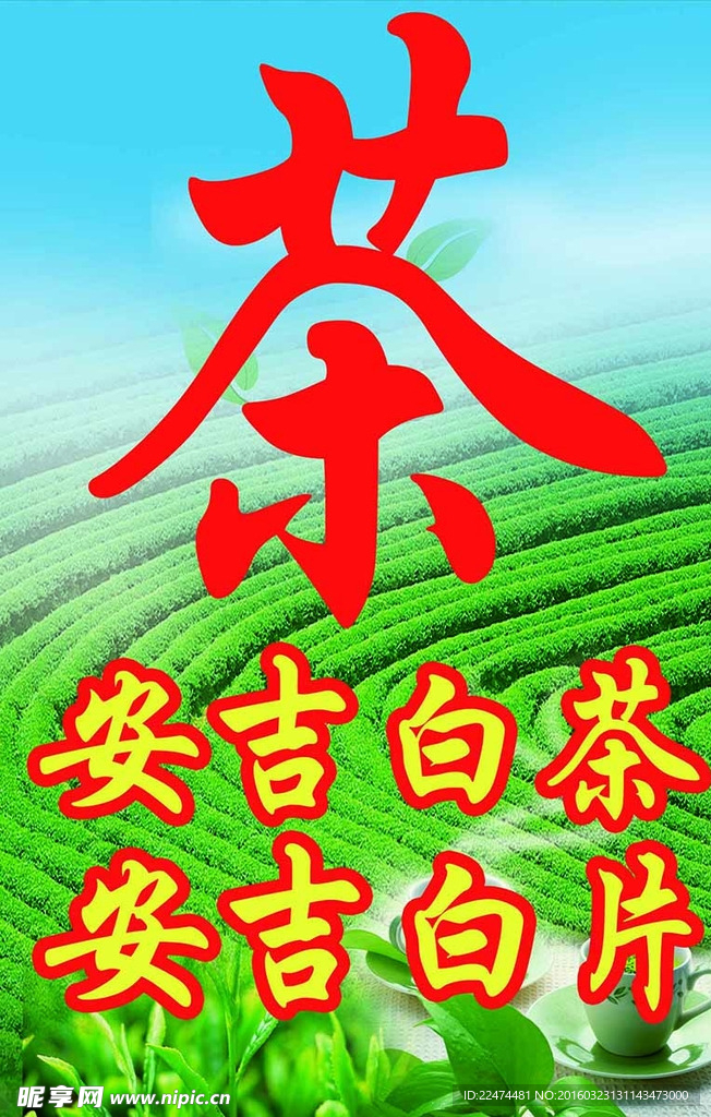 茶叶 白茶 白片 绿茶