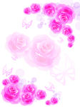 玫瑰花