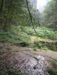 张家界山水风景