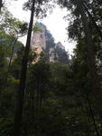 武陵源森林公园