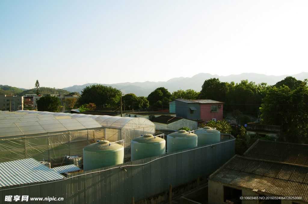 蔬菜基地 乡村菜棚