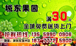 水果名片