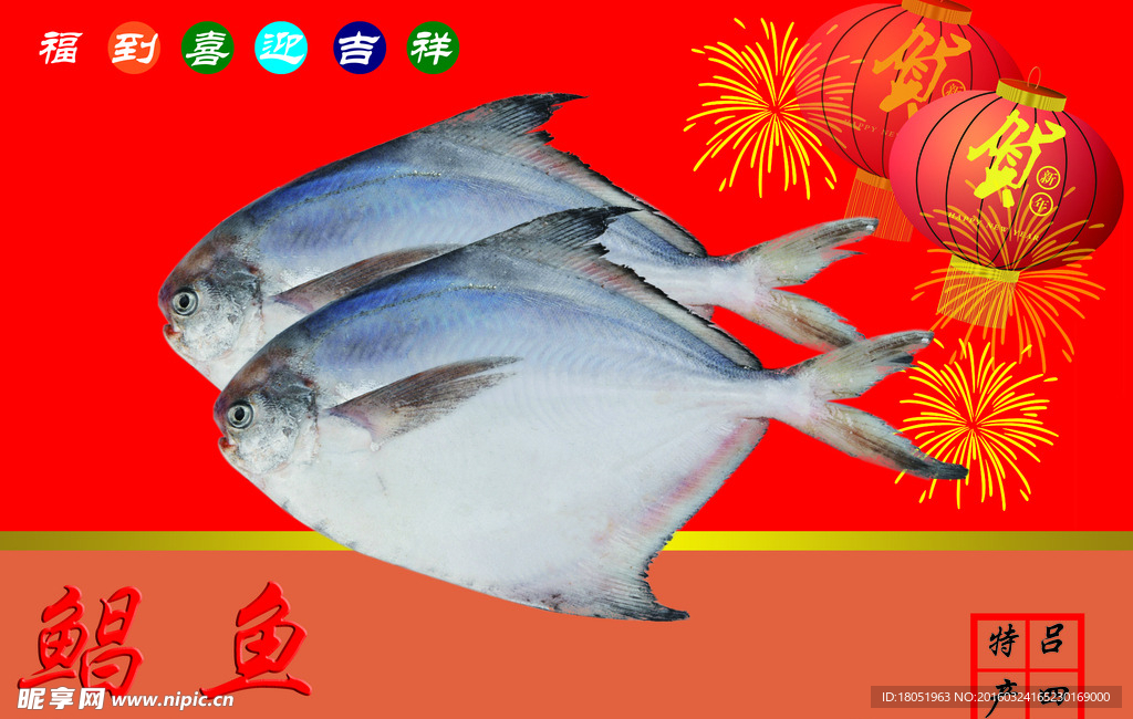 野生鲳鱼分层素材