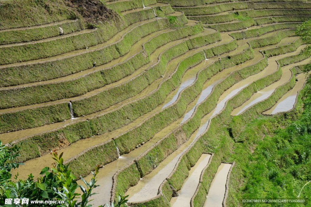 梯田