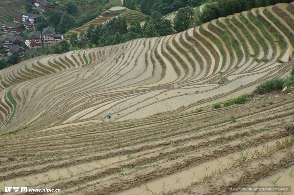 梯田