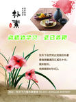 向植物学习
