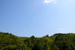 青山