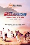 狼性销售培训海报