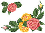 玫瑰花纹