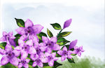 紫色PSD手绘花束