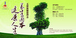树木风景
