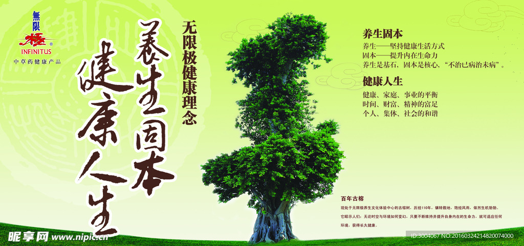 树木风景
