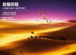 发展历程