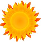 太阳花LOGO