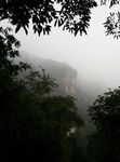 雾中山林