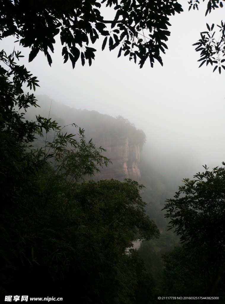 雾中山林