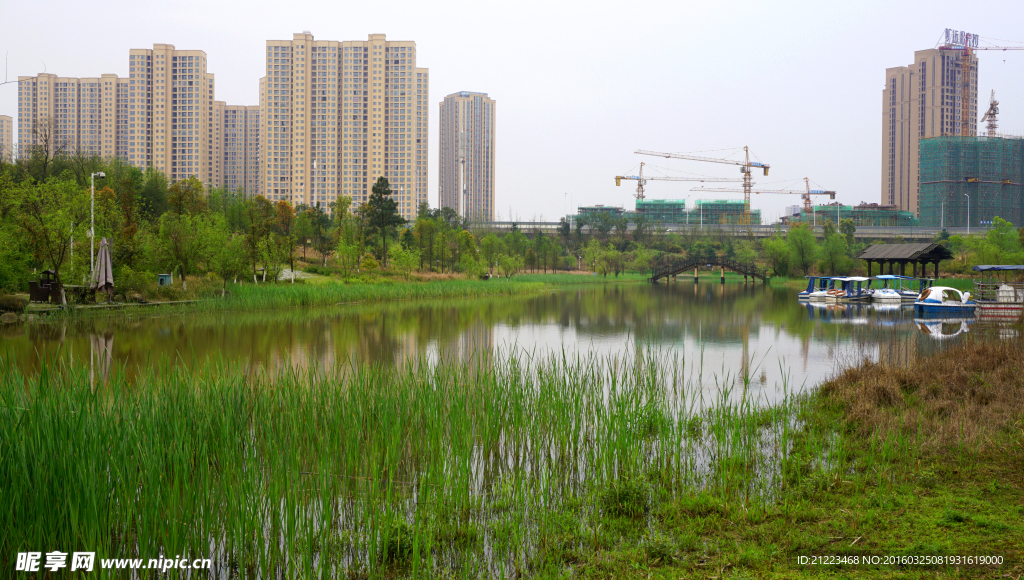 洋湖湿地公园