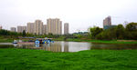 洋湖湿地公园