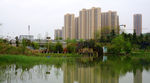 公园景观