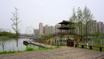 公园景观