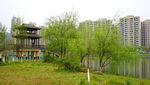 公园景观