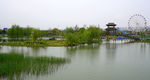 洋湖湿地公园
