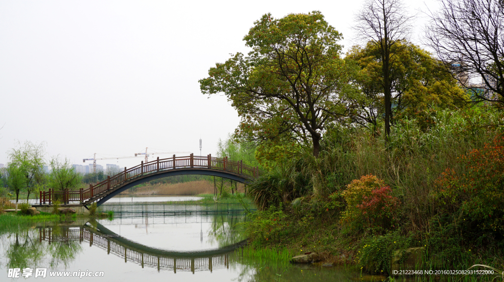 洋湖湿地公园