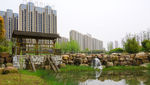 洋湖湿地公园