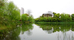 洋湖湿地公园