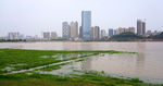 远眺河东