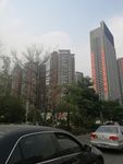 高楼大厦