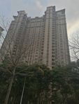高楼大厦