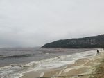 浪花