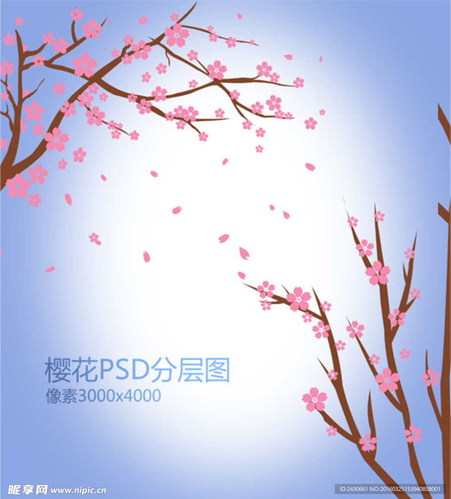 樱花素材