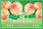 水蜜桃广告