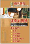 教育DM宣传单
