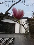 无锡巡塘古镇