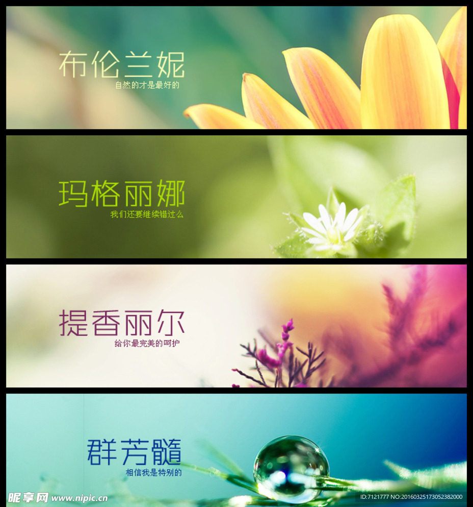 清新海报