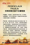 酒庄简介