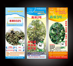 棉花宣传展架