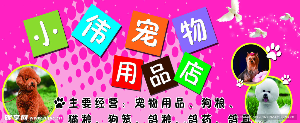 宠物
