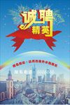 诚聘精英