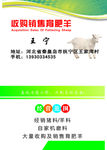收购销售育肥羊