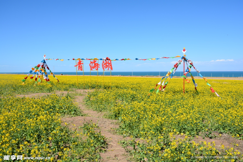 青海湖